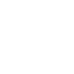 Alex Martinez — Software Architect / Developer